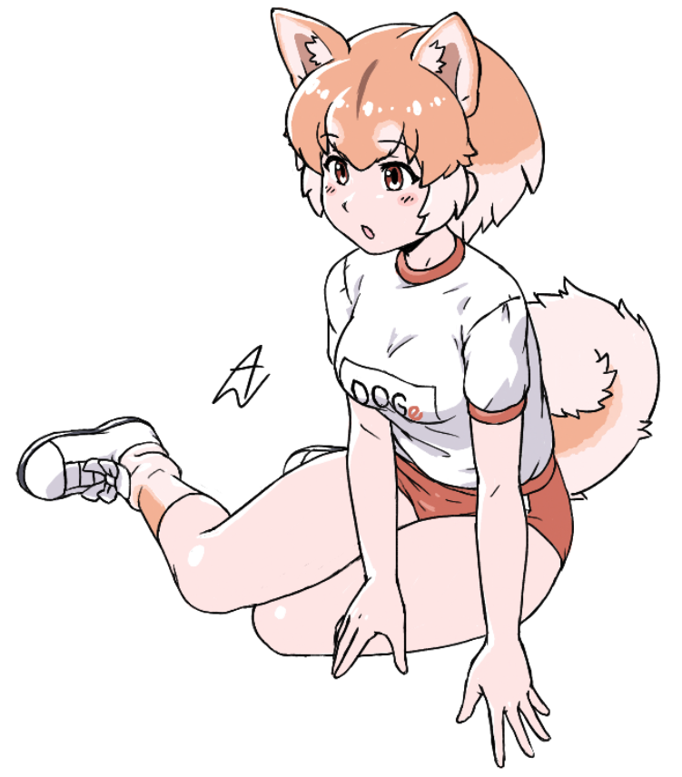 1girl acesrulez animal_ears blush brown_eyes brown_socks buruma dog_(shiba_inu)_(kemono_friends) dog_ears dog_girl dog_tail extra_ears gym_shirt gym_uniform kemono_friends light_brown_hair multicolored_hair name_tag red_buruma shirt short_hair short_sleeves sitting socks solo t-shirt tail two-tone_hair white_hair white_shirt white_sneakers yokozuwari