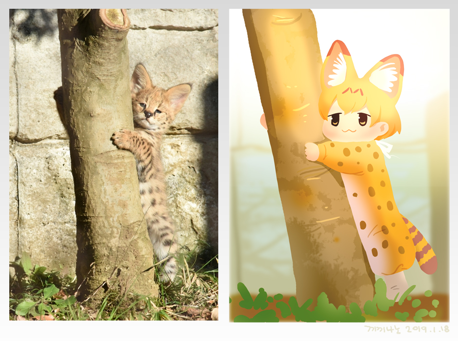 10s 1girl :3 aged_down animal animal_costume animal_ear_fluff animal_ears animal_print blonde_hair bow cat_ears check_commentary chibi commentary_request cosplay costume creature_and_personification dated day extra_ears fake_animal_ears grass hugging_object kemono_friends korean_commentary no_lineart no_nose onesie outdoors personification photo-referenced photo_inset reference_inset reference_photo roonhee serval serval_(kemono_friends) serval_tail signature spots tail tree under_tree white_bow white_footwear