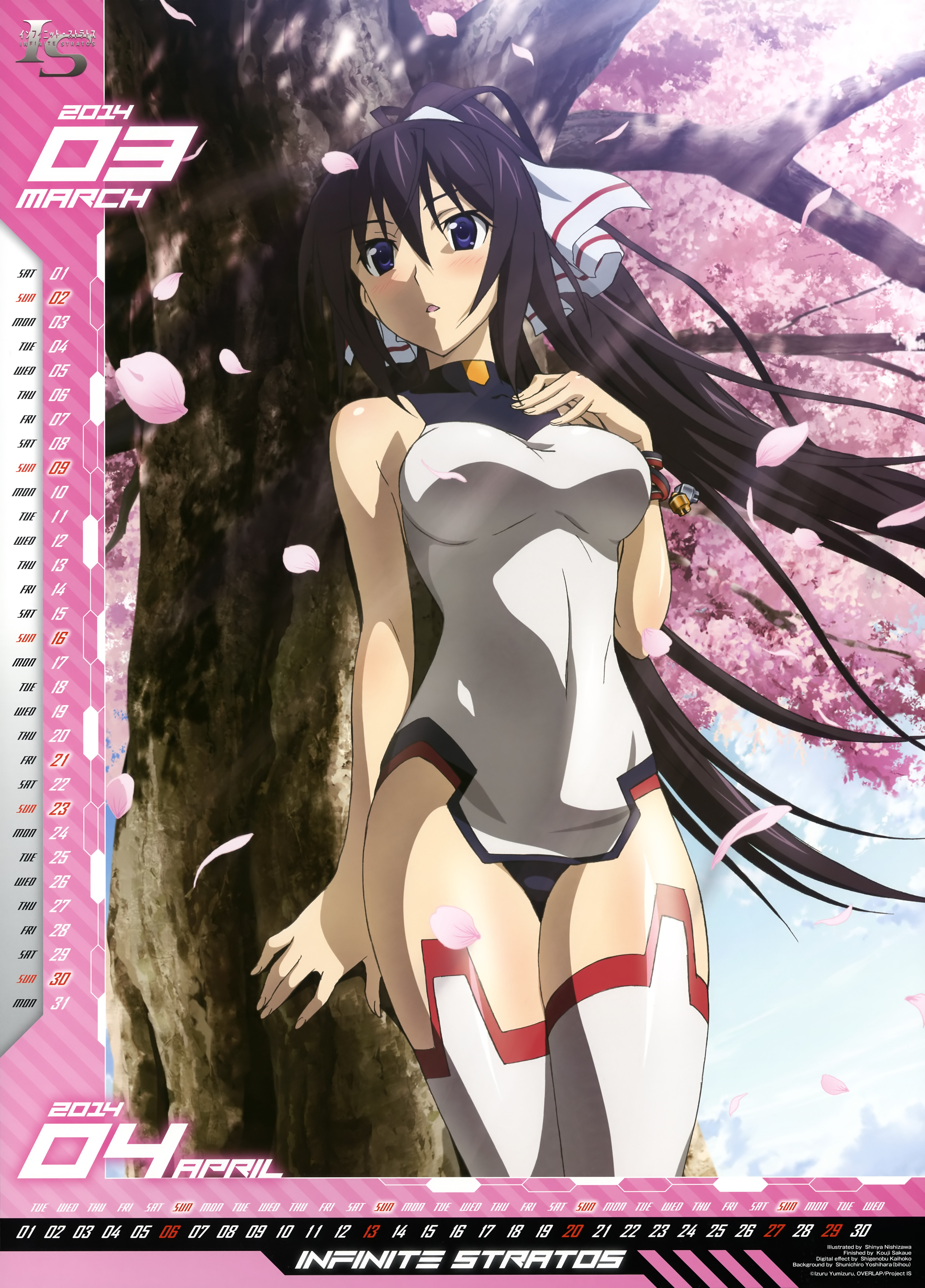 インフィニットストラトス 剥ぎコラ nishizawa shin&#039;ya, shinonono houki, infinite stratos, pilot suit,  absurdres, highres, official art, scan, 10s, 1girl, 2014, :o, against tree,  april, bare shoulders, black hair, blue eyes, blush, bodysuit, bracelet,  breasts, calendar, cherry