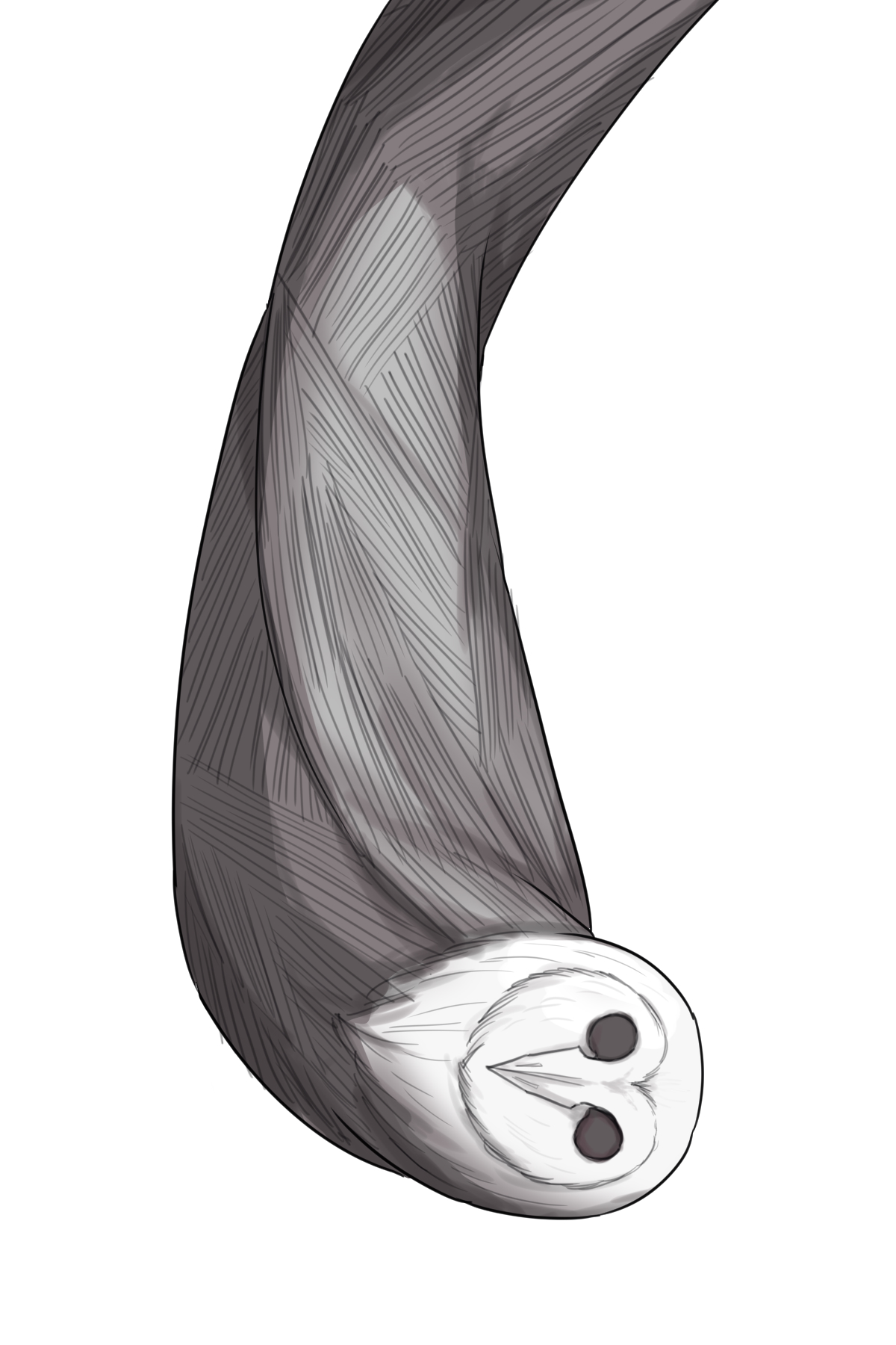 1boy animal_head bird black_cape black_souls black_souls_2 cape head_tilt highres lorde_(black_souls) male_focus owl rabbit_king solo upside-down