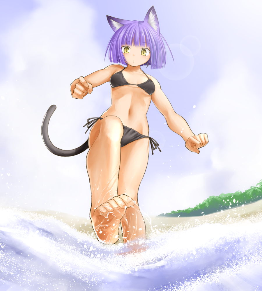 1girl animal_ears bastet_lore bikini black_bikini breasts cat_ears cat_tail emil_chronicle_online female_focus from_below kasuga_yukihito navel purple_hair short_hair side-tie_bikini_bottom sky small_breasts solo splashing swimsuit tail toes wading yellow_eyes