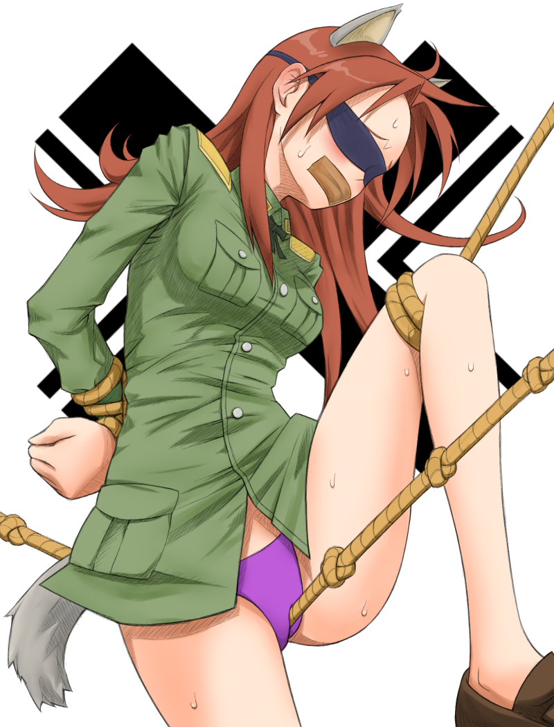 1girl animal_ears arms_behind_back bad_id bad_pixiv_id bdsm blindfold blush bondage bound bound_leg bound_wrists brown_hair crotch_rope dog_ears dog_tail fake_animal_ears female_focus gag gagged improvised_gag kadokawa_shoten knotted_rope leg_up long_hair military military_uniform minna-dietlinde_wilcke panties predicament_bondage purple_panties rope rope_walking solo strike_witches sweatdrop tail tape tape_gag underwear world_witches_series yamija