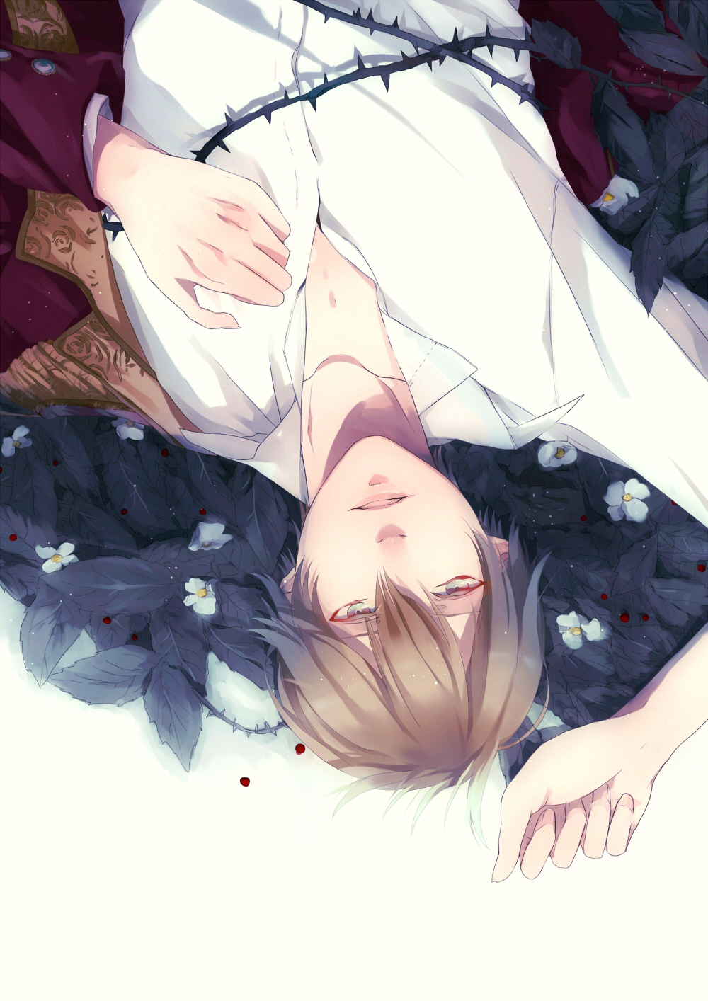 1boy blood blood_drop blood_on_leaf blue_eyes brown_hair cape commentary_request epaulettes expressionless flower genderswap genderswap_(ftm) grey_eyes highres leaf looking_at_viewer lying male_focus on_back original parted_lips red_cape sendou926 shirt short_hair single_epaulette snow_white_(fairy_tale) snow_white_(fairy_tale_character) solo thorns upside-down white_flower white_shirt