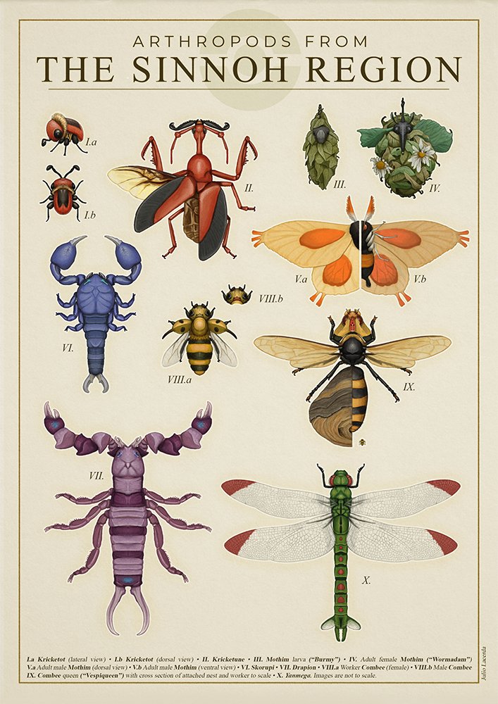 animal_focus bee border bug burmy character_name claws combee commentary dragonfly drapion from_above gen_4_pokemon insect julio_lacerda kricketot kricketune label mothim nintendo no_humans pokemon pokemon_(creature) skorupi vespiquen wormadam yanmega