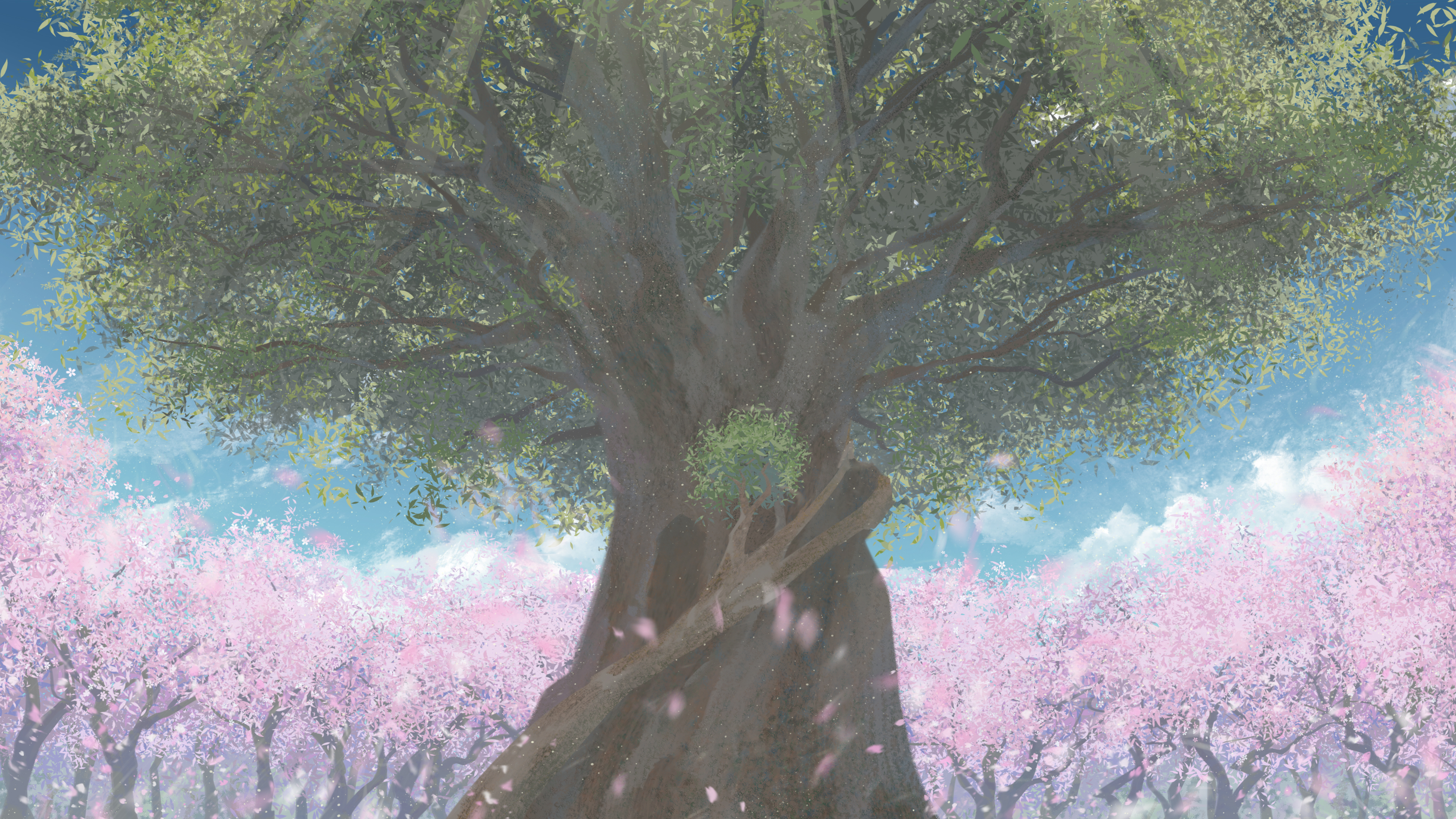 absurdres cherry_blossoms cloud cloudy_sky falling_petals fasnakegod from_above highres landscape no_humans petals saigyou_ayakashi scenery sky sunlight touhou tree
