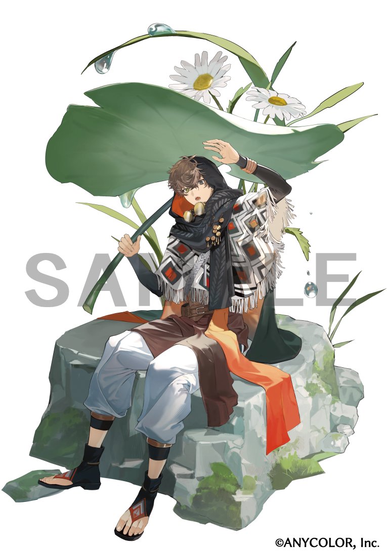 1boy :o alban_knox argyle_clothes belt belt_buckle black_cape black_footwear black_scarf black_shirt bracer bridal_legwear brown_belt brown_hair brown_robe buckle cape copyright_notice daisy_(flower) dew_drop flower fringe_trim full_body goggles goggles_around_neck grass green_eyes grey_eyes hair_between_eyes heterochromia holding holding_leaf hood hood_up hooded_cape leaf leaf_umbrella long_sleeves looking_at_viewer male_focus matoba_(ga6life) moss nijisanji nijisanji_en official_art on_rock orange_scarf oversized_flower pants pelvic_curtain poncho robe rock scarf shirt short_hair simple_background sitting solo stole toeless_footwear two-sided_cape two-sided_fabric virtual_youtuber water_drop white_background white_flower white_pants