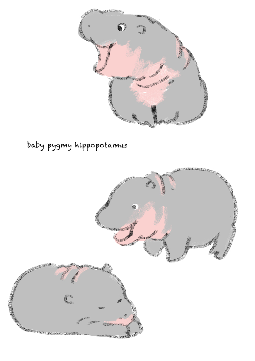 animal animal_ears animal_focus baby_animal english_text highres hippopotamus hippopotamus_ears momoro moo_deng no_humans original pygmy_hippopotamus screaming sleeping