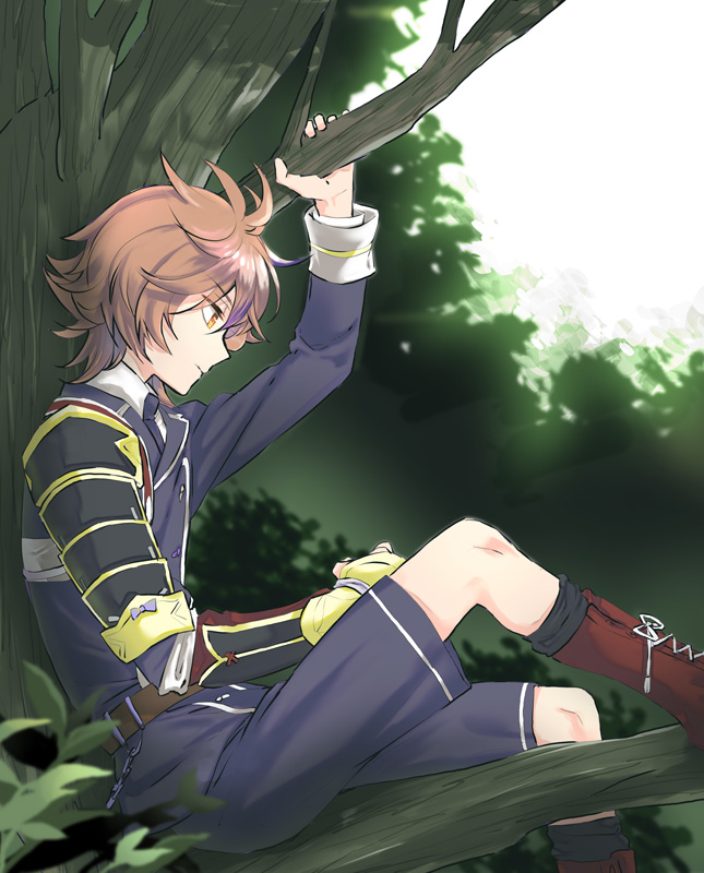 10s 1boy armor boots brown_eyes brown_hair gotou_toushirou in_tree japanese_armor kuronomine lace-up_boots looking_down male_focus military military_uniform necktie profile shorts shoulder_armor sitting sode touken_ranbu tree