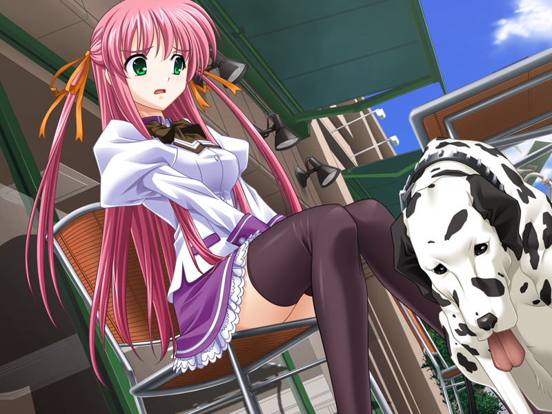 1girl aihara_sarina bestiality dalmatian delta_(delta0127) dog female_focus green_eyes leo_(shiiku_hakusho) pink_hair shiiku_hakusho thighhighs