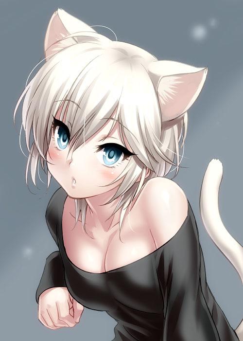 1girl anastasia_(idolmaster) animal_ear_fluff animal_ears bare_shoulders black_shirt blue_eyes blush breasts cat_ears cat_tail cleavage commentary_request grey_background hair_ornament head_tilt idolmaster idolmaster_cinderella_girls long_sleeves looking_at_viewer off-shoulder_shirt off_shoulder parted_lips shirt short_hair silver_hair small_breasts solo tail upper_body zen