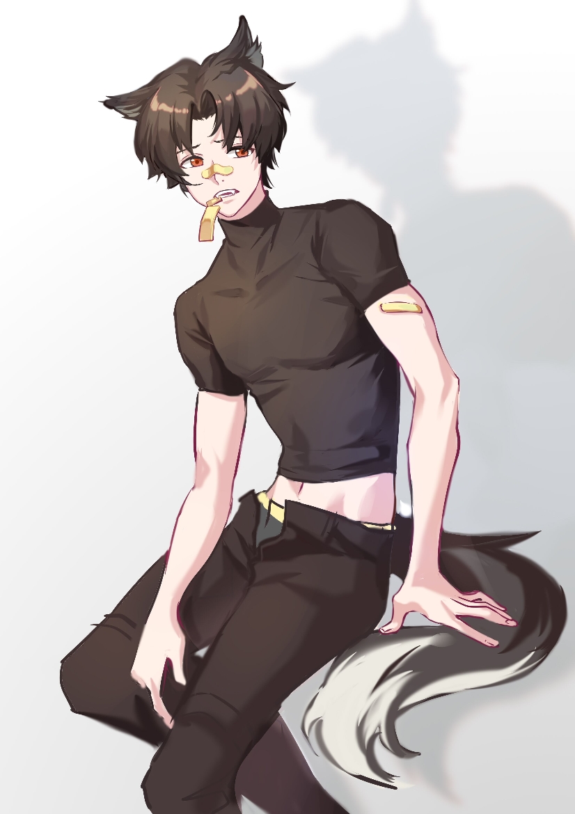 1boy animal_ears arknights bandaid bandaid_on_arm bandaid_on_face bandaid_on_nose black_hair black_pants black_shirt dog_boy dog_ears dog_tail fangs feet_out_of_frame grey_male_underwear looking_at_viewer male_focus male_underwear mostlovelygg navel open_fly open_mouth orange_eyes pants shirt short_hair short_sleeves simple_background sitting solo tail teeth toned toned_male underwear white_background windflit_(arknights)