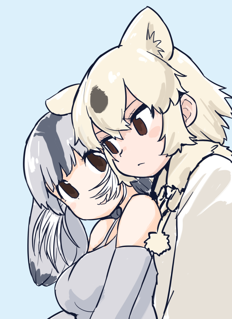 2girls :&lt; :3 animal_ear_fluff animal_ears bare_shoulders bear_ears bearded_seal_(kemono_friends) blonde_hair blue_background breasts brown_eyes coat commentary_request elbow_gloves extra_ears fur_collar gloves grey_hair hair_between_eyes kemono_friends large_breasts multicolored_hair multiple_girls polar_bear_(kemono_friends) pom_pom_(clothes) rumenia_(ao2is) short_hair simple_background two-tone_hair white_coat