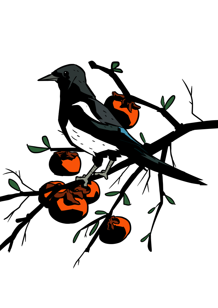 bird branch commentary english_commentary food fruit headaxe4862 korean_commentary magpie mixed-language_commentary no_humans original persimmon simple_background white_background