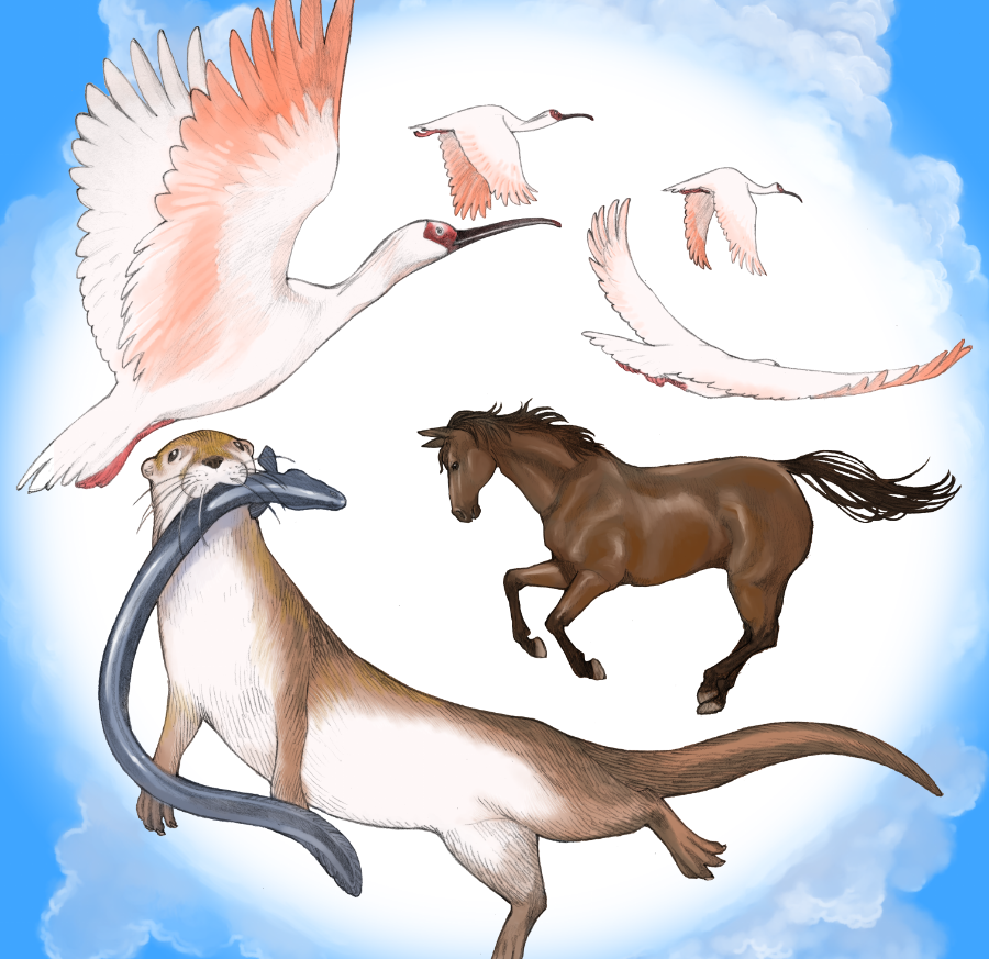 animal animal_focus bird cloud crane_(animal) eel horse no_humans official_art otter sekiguchi_taro yurusaba.