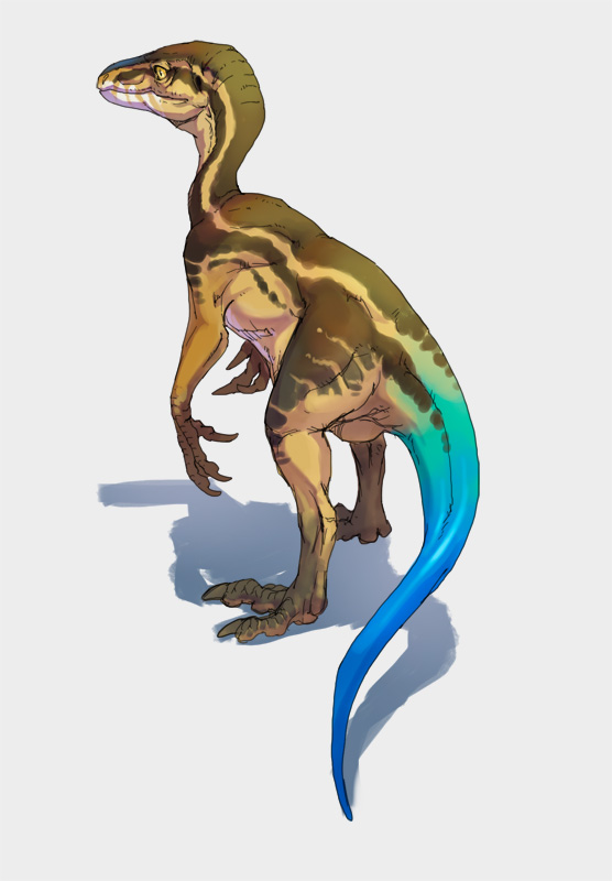 animal_focus claws dinosaur from_above full_body nablange no_humans original raptor shadow simple_background slit_pupils solo tail white_background yellow_eyes