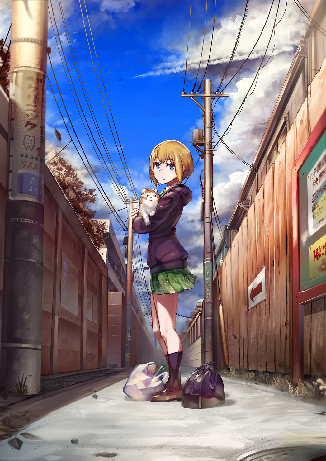 1girl alley animal bag blonde_hair blue_eyes blue_sky brown_footwear cat cloud day donarudo female_focus from_side full_body grocery_bag highres holding holding_animal holding_cat hood hoodie kon_futaba long_sleeves looking_at_viewer miniskirt outdoors pleated_skirt power_lines road road_sign school_bag shopping_bag short_hair sign skirt sky solo soredemo_machi_wa_mawatteiru standing street utility_pole