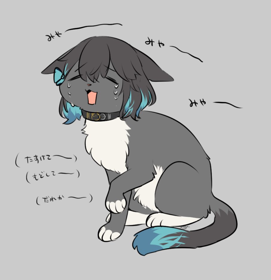 animal_collar animal_focus animalization black_fur black_hair blue_hair cat closed_eyes collar colored_inner_hair crying grey_background meowing miyamai_moca multicolored_hair no_humans open_mouth protected_link short_hair simple_background translation_request tsukune_(budodesu) voicepeak white_fur