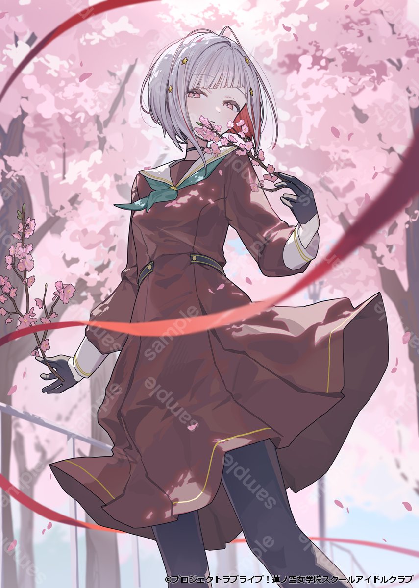 1girl 4th_live_dream_~bloom_the_dream_believers~ aqua_neckerchief black_pantyhose breasts brown_dress cherry_blossoms closed_mouth colored_inner_hair commentary_request copyright_notice day diagonal_bangs dress expressionless falling_petals feet_out_of_frame grey_hair hair_intakes hair_ornament hasu_no_sora_school_uniform highres link!_like!_love_live! loafers long_hair long_sleeves looking_at_viewer love_live! medium_breasts medium_dress multicolored_hair neckerchief ningen_mame official_art outdoors pantyhose petals pink_petals pleated_dress red_hair red_ribbon ribbon sailor_collar sailor_dress sample_watermark school_uniform shoes short_hair solo standing star_(symbol) star_hair_ornament streaked_hair virtual_youtuber watermark watermark_grid white_sailor_collar winter_uniform yugiri_tsuzuri