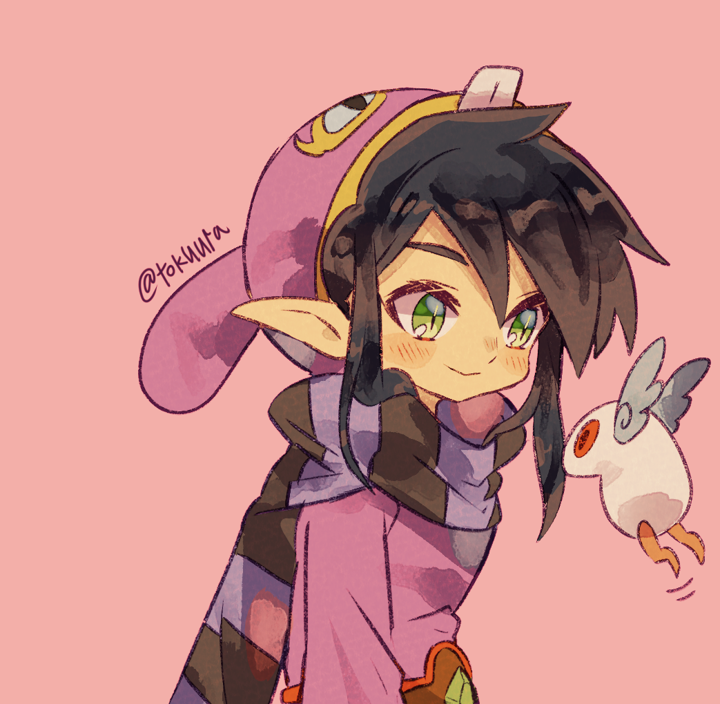 1boy animal_hood back bag blush commentary_request green_eyes hat hood jewelry male_focus nintendo pointy_ears purple_hair purple_sweater rabbit_hood ravio rupee_(zelda) sheerow solo sweater the_legend_of_zelda the_legend_of_zelda:_a_link_between_worlds tokuura tunic