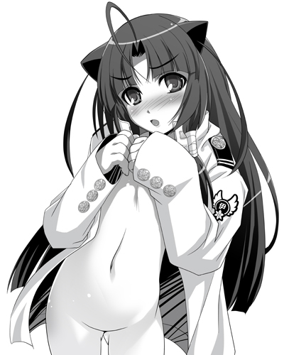 ahoge animal_ears blush bottomless cat_ears flat_chest greyscale jacket kouki_kuu long_hair lowres monochrome no_panties oki_kiki solo sumaga