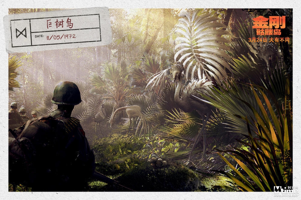 animal army artist_request assault_rifle bird camouflage colt&#039;s_manufacturing_company concept_art conspiracy cut_content fern_bird forest gun helmet king_kong_(series) kong:_skull_island legendary_pictures long_gun m16 military military_uniform monarch_(monsterverse) monster monsterverse nature official_art plant promotional_art realistic rifle science soldier tactical_clothes united_states_army viral_marketing weapon