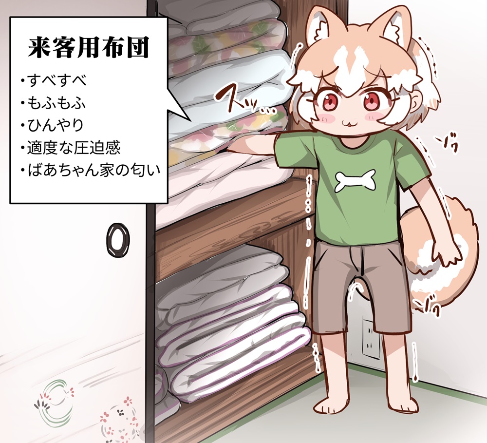 1girl :3 alternate_costume animal_ears barefoot blush casual dog_(shiba_inu)_(kemono_friends) dog_ears dog_girl dog_tail extra_ears green_shirt grey_shorts hair_between_eyes kemono_friends light_brown_hair orange_eyes shirt short_sleeves shorts sidelocks solo t-shirt tail tanaka_kusao translation_request white_hair