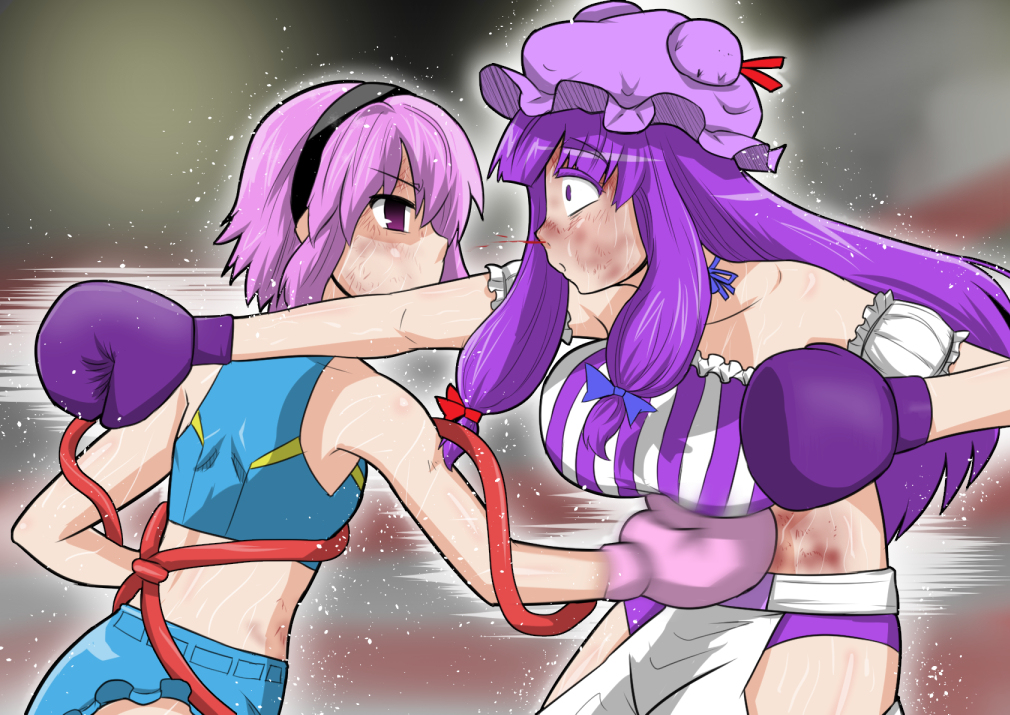 2girls boxing candorange catfight komeiji_satori multiple_girls patchouli_knowledge ryona tagme touhou