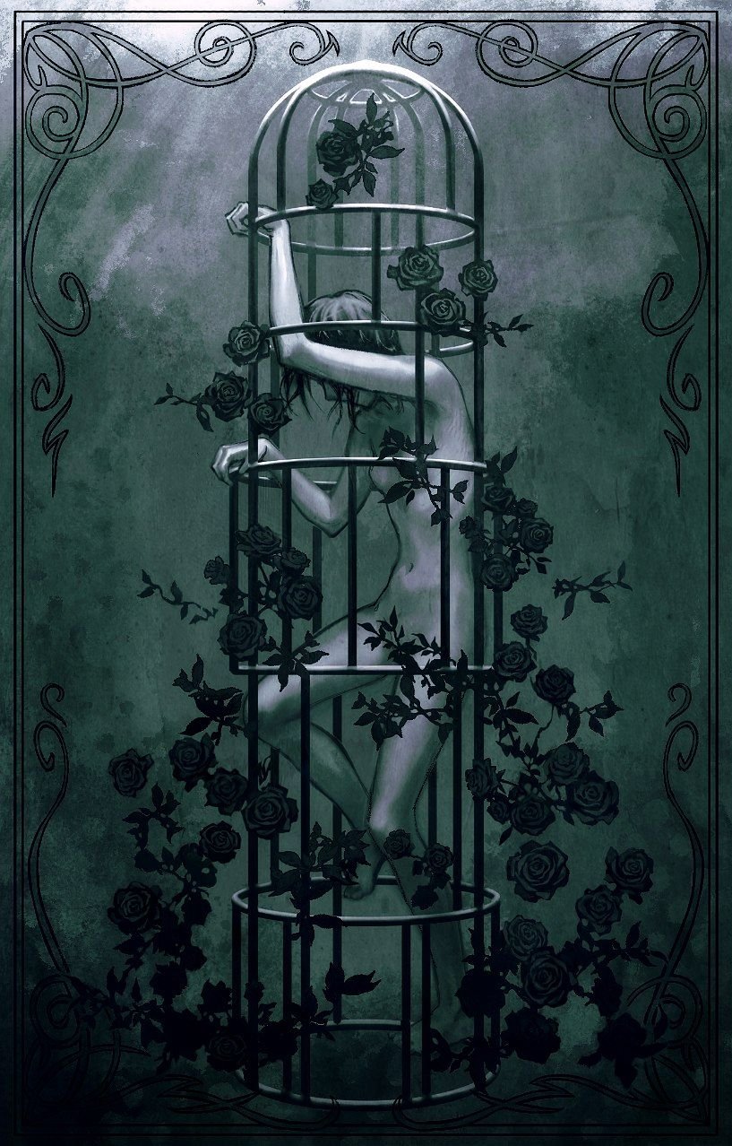 1boy birdcage black_hair black_robe border cage climbing completely_nude convenient_censoring covering_face dim_lighting full_body highres homicipher male_focus mr._crawling nude ornate_border robe solo squalid114617