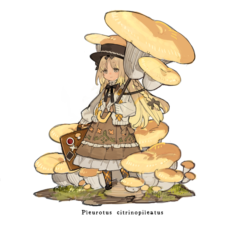 1girl black_bow black_bowtie blonde_hair blush bow bowtie braid briefcase brown_bow brown_dress brown_eyes brown_hat cardigan dress grass hair_bow hat holding holding_briefcase holding_umbrella jacket light_smile long_hair looking_ahead mary_janes mushroom mushroom_girl mushroom_umbrella original personification plaid_clothes plaid_legwear scientific_name shoes smile starshadowmagician sticker top_hat umbrella white_background white_cardigan