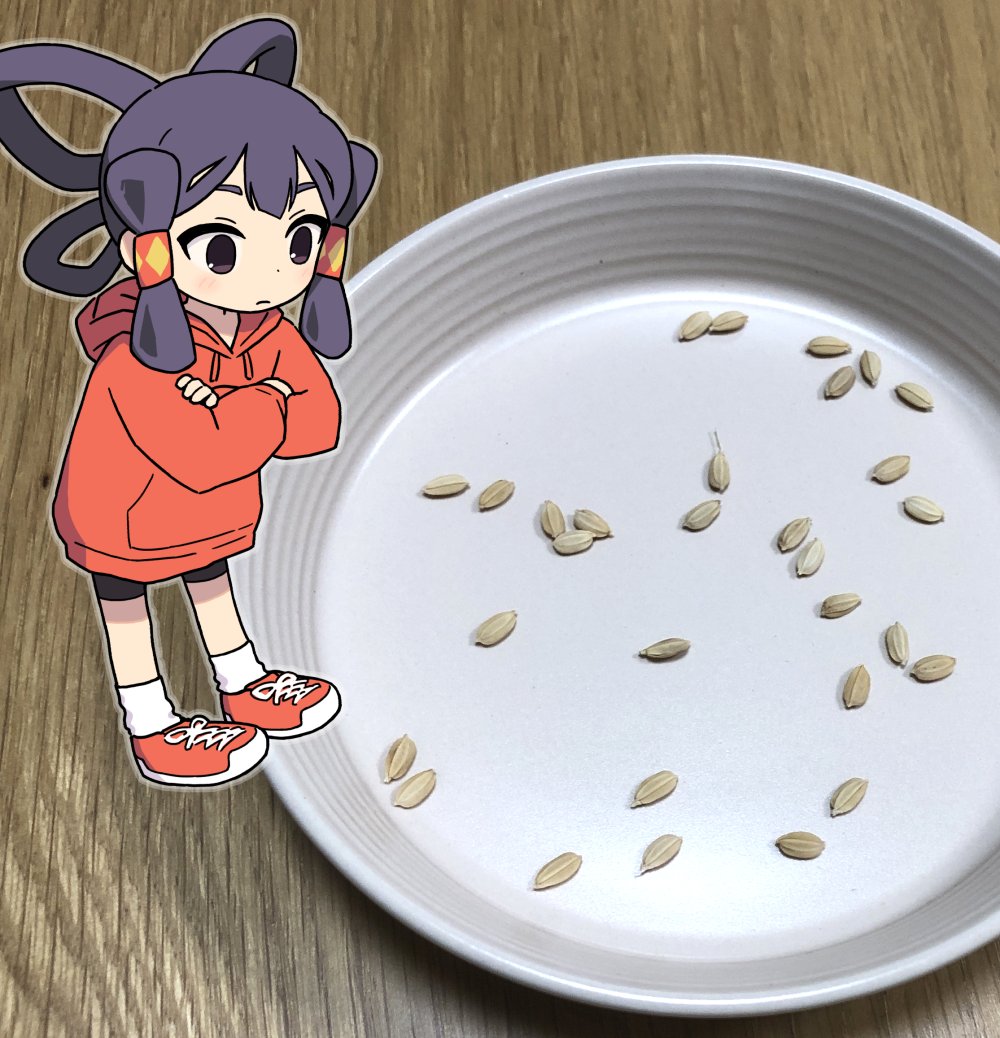 1girl bike_shorts black_eyes black_hair blush commentary_request crossed_arms full_body hair_rings hood hoodie long_hair mizura nezutako photo_(medium) plate red_hoodie sakuna-hime seed shoes sneakers solo tensui_no_sakuna-hime