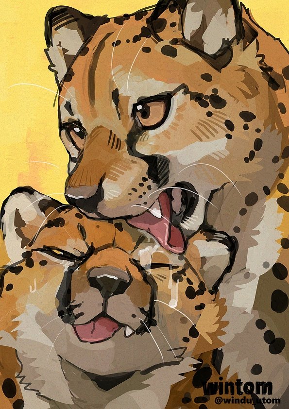 animal animal_focus black_eyes brown_eyes cheetah commentary english_commentary fang licking no_humans original teeth tongue tongue_out twitter_username whiskers wintom