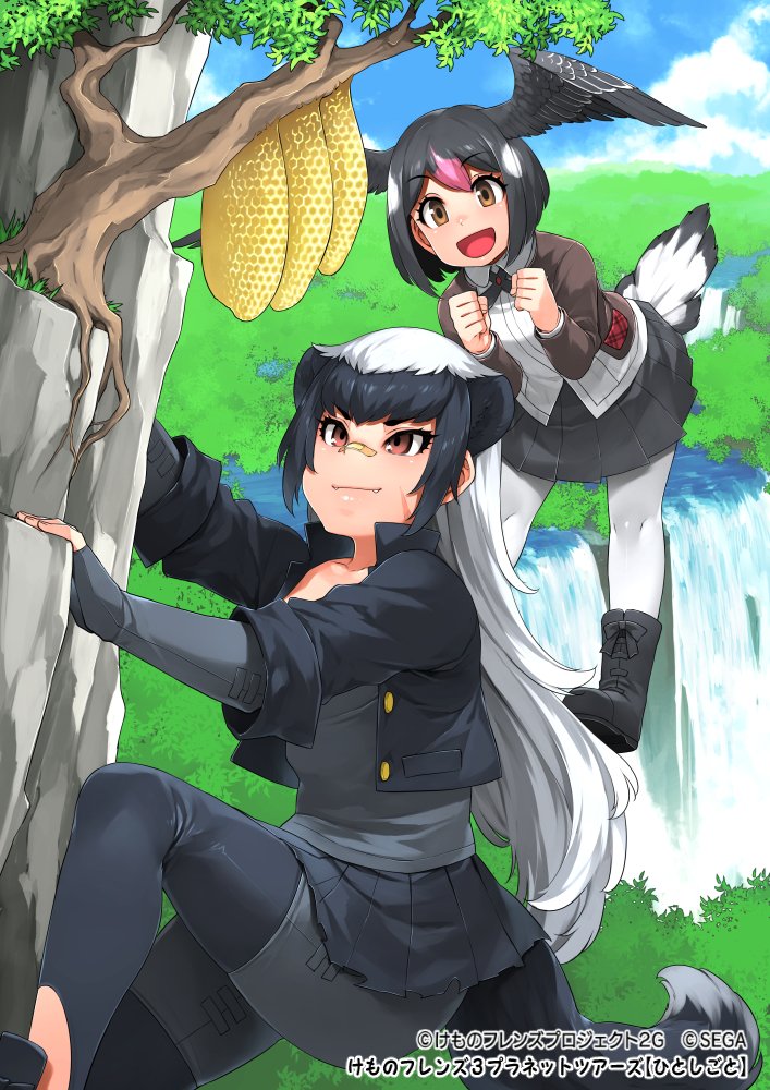 2girls :d badger_ears badger_tail bandaid bandaid_on_face bandaid_on_nose beehive bird_tail bird_wings black_footwear black_gloves black_hair black_jacket black_skirt boots brown_eyes clenched_hand cliff climbing commentary_request cropped_jacket day extra_ears fangs fangs_out fingerless_gloves flying gloves greater_honeyguide_(kemono_friends) grey_shirt hair_between_eyes head_wings ratel_(kemono_friends) jacket kemono_friends kemono_friends_3 long_hair long_sleeves mitsuba_minoru multiple_girls official_art open_mouth outdoors pantyhose pink_hair pleated_skirt shirt short_hair skirt smile tail tree water waterfall white_hair white_legwear wings