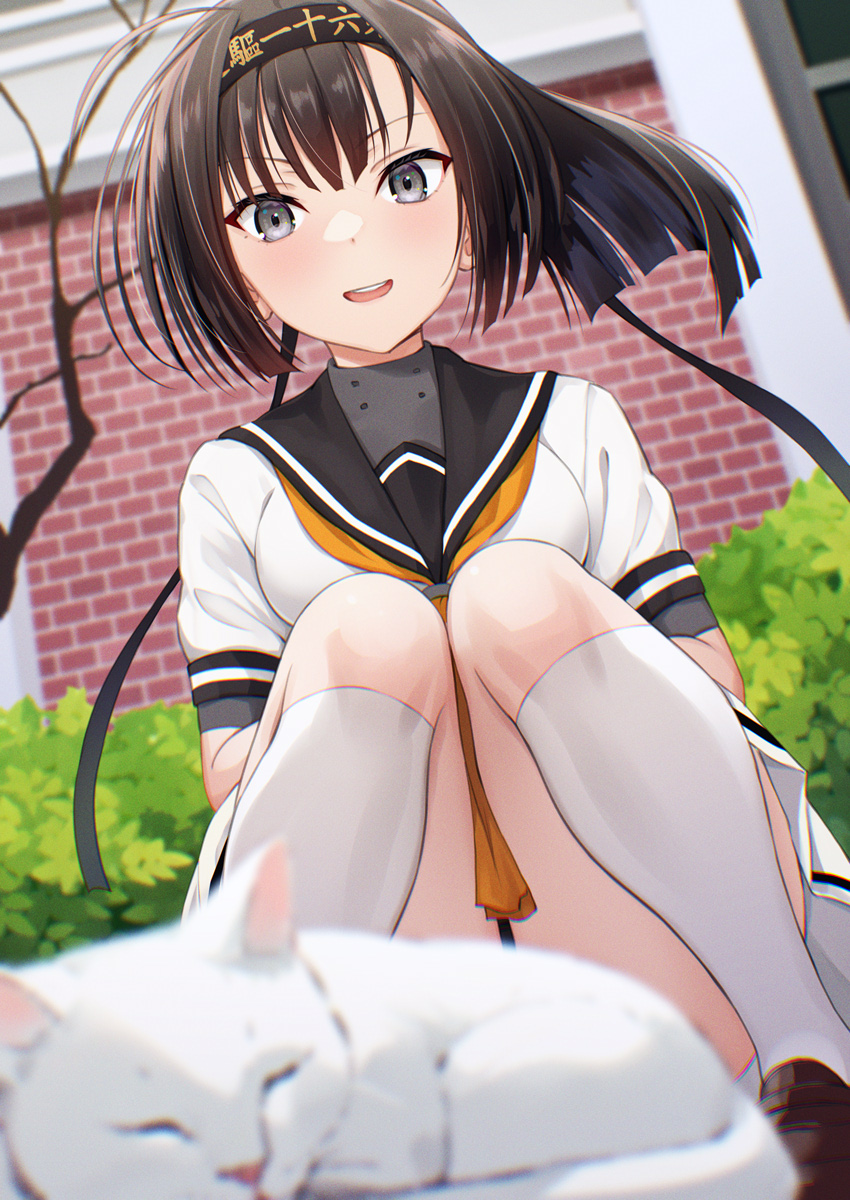 1girl akizuki_(kancolle) black_hair black_headband breasts brick_wall brown_shoes bush cat clothes_writing convenient_censoring day grey_eyes hachimaki headband highres kanden_sky kantai_collection looking_at_viewer miniskirt neckerchief open_mouth orange_neckerchief outdoors ponytail round_teeth school_uniform serafuku shoes short_sleeves sitting skirt small_breasts smile socks solo teeth upper_teeth_only white_skirt white_socks