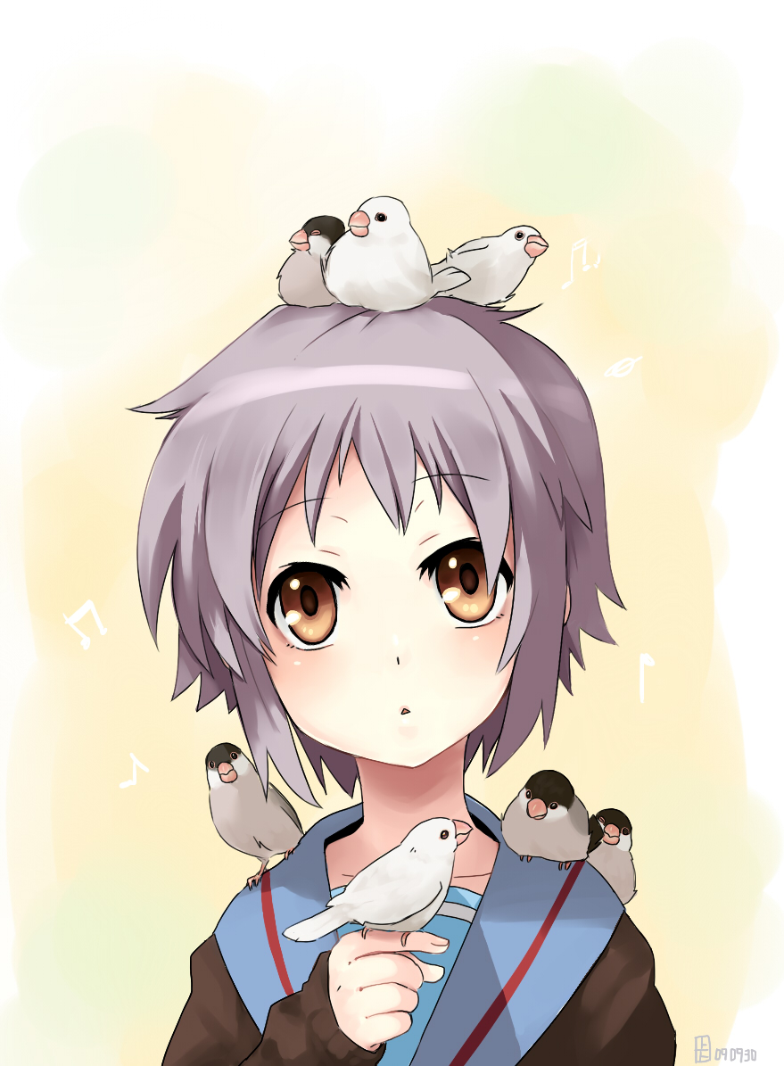 00s 1girl :o a-ka animal animal_on_head animal_on_shoulder bird bird_on_hand bird_on_head bird_on_shoulder brown_eyes cardigan female_focus grey_hair java_sparrow looking_up musical_note nagato_yuki on_head school_uniform serafuku short_hair solo suzumiya_haruhi_no_yuuutsu upper_body white_java_sparrow