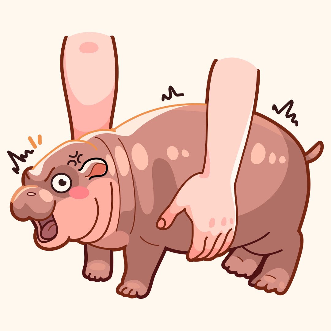 anger_vein animal black_eyes blush commentary english_commentary hippopotamus holding holding_animal looking_at_viewer moo_deng nonagallery_art notice_lines open_mouth real_life v-shaped_eyebrows