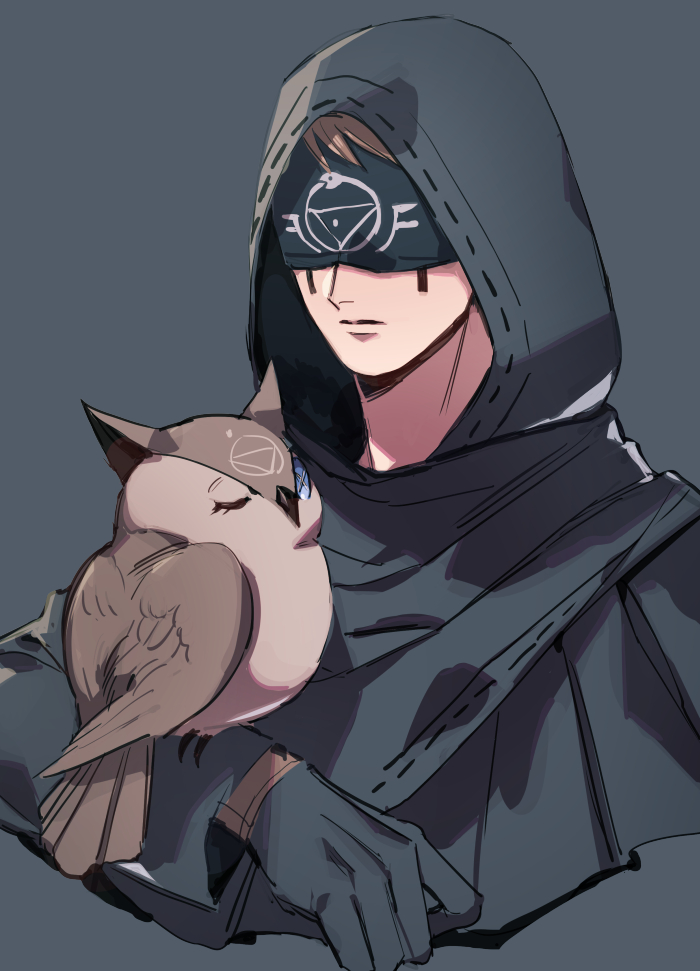 1boy animal_on_arm azaya_(kuroi_azaya) bird bird_on_arm black_gloves black_hood black_robe blindfold brown_hair closed_mouth cropped_torso eli_clark gloves grey_background hood hood_up identity_v male_focus owl robe solo