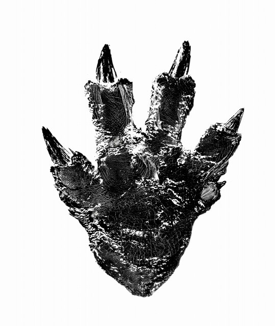 concept_art footprints godzilla godzilla_(series) monochrome no_humans official_art promotional_art shin_godzilla teaser toho trilobite viral_marketing white_background