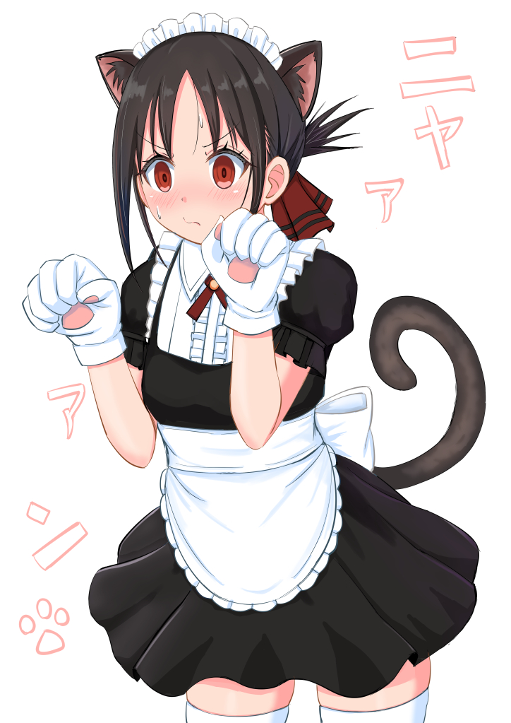 1girl 3535mb animal_ear_fluff animal_ears animal_hands apron black_dress black_hair blush cat_ears cat_tail closed_mouth commentary_request cowboy_shot dress eyelashes frills gloves hair_ribbon hands_up kaguya-sama_wa_kokurasetai_~tensai-tachi_no_renai_zunousen~ neck_ribbon parted_bangs paw_gloves paw_pose paw_print red_eyes red_ribbon ribbon shinomiya_kaguya short_hair short_sleeves sidelocks solo sweat tail tareme thighhighs waist_apron white_apron white_background white_gloves white_thighhighs