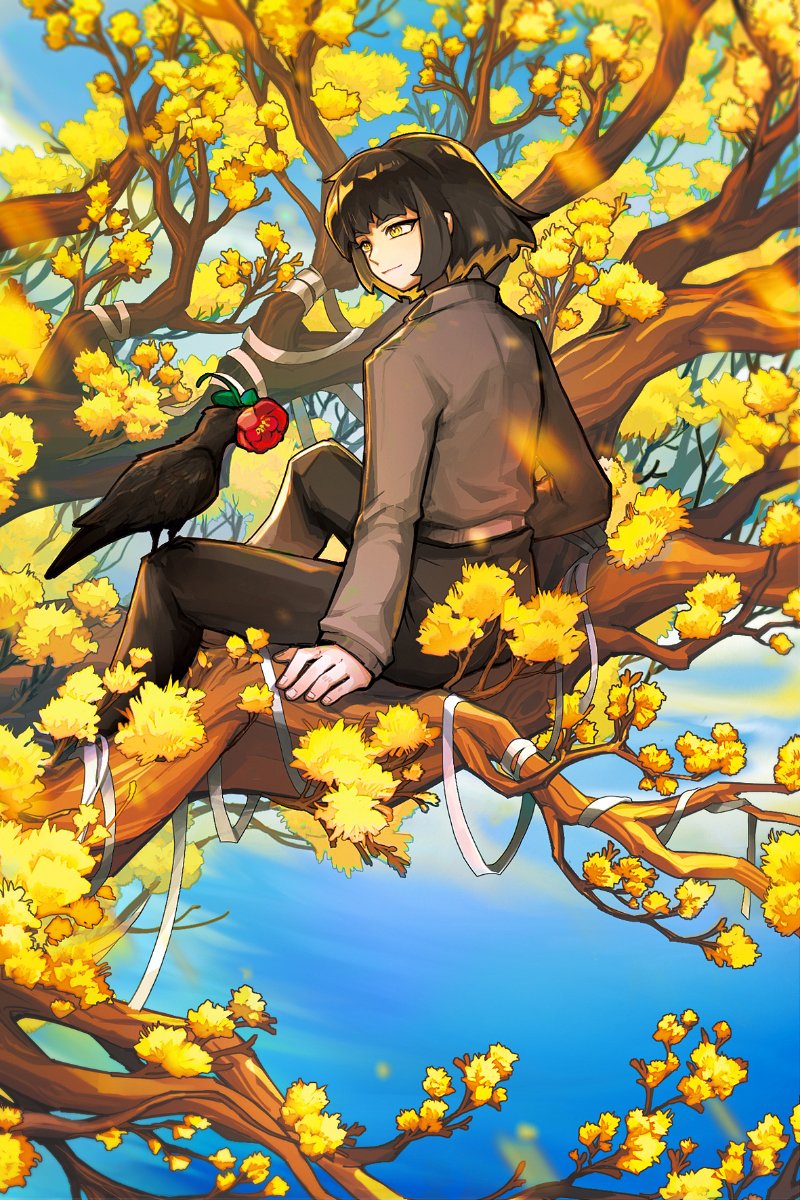 1girl animal bandages belt bird bird_on_knee black_feathers black_hair black_pants blue_sky bob_cut branch brown_jacket camellia crow dongbaek_(project_moon) feathers flaw_eight flower highres in_tree jacket leaf limbus_company pants project_moon red_flower sitting sitting_in_tree sky solo sunlight tree yellow_eyes yellow_flower
