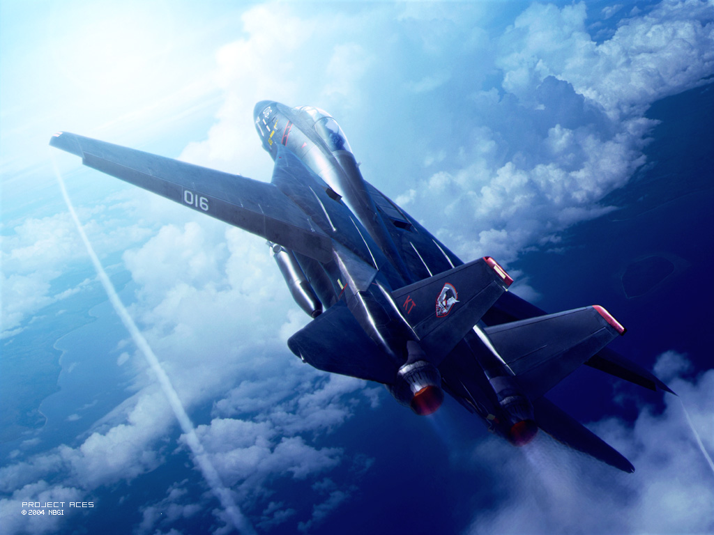 ace_combat ace_combat_5 aircraft airplane blaze_(character) demon_of_razgriz drop_tank f-14 flight jet namco official_art razgriz sky