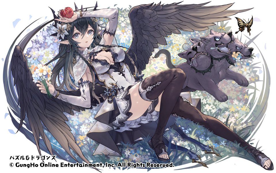 1girl bird_wings black_boots black_hair black_wings boots braid breasts bug butterfly capelet cerberus character_request cleavage collar company_name copyright_name covered_navel detached_sleeves dress earrings feathered_wings field flower flower_field food from_above fruit grey_eyes hair_flower hair_ornament holding holding_flower holding_food holding_fruit insect itou_youichi jewelry knee_up long_hair looking_at_viewer lying multiple_braids official_art on_back open-toe_boots pointy_ears puzzle_&amp;_dragons side_braids thigh_boots white_capelet white_dress wings yellow_butterfly