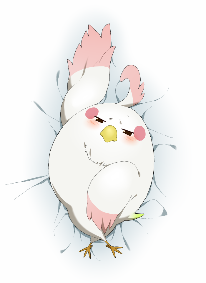 animal_focus beak bird blush brown_eyes commentary_request covering_privates covering_crotch dakimakura_(medium) dera_mochimazzui feathers looking_at_viewer lying no_humans on_back purasu_no_konbu sweatdrop talons tamako_market wings