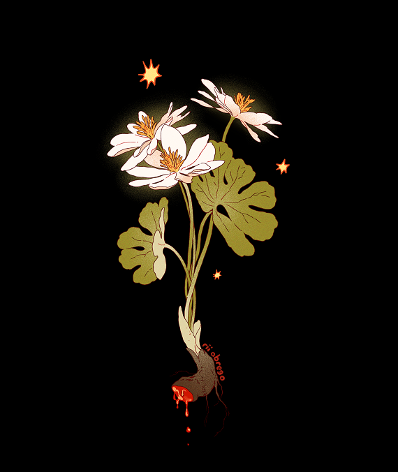 black_background commentary downscaled dripping english_commentary flower flower_focus glowing leaf liquid no_humans original paid_reward_available plant plant_roots resized rii_abrego signature simple_background sparks white_flower
