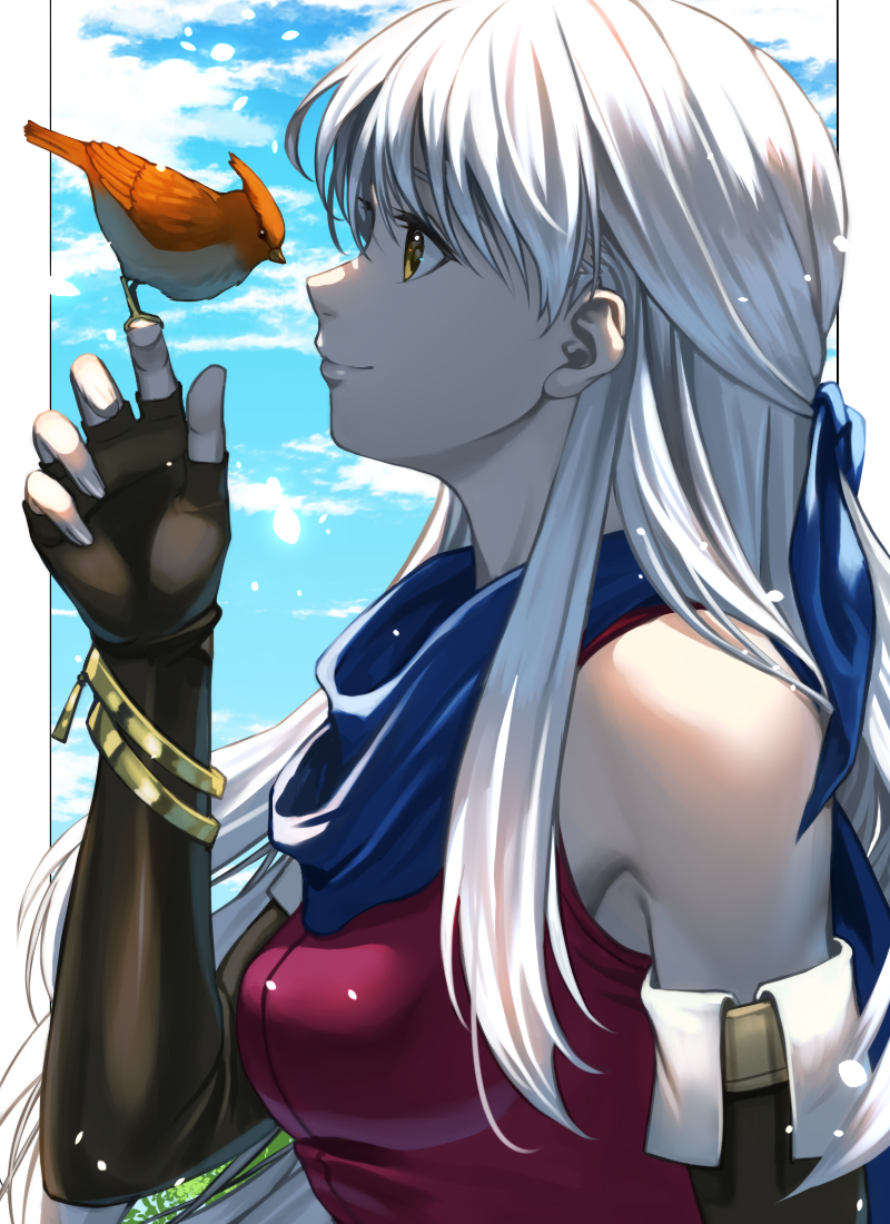 1girl animal bare_shoulders bird bird_on_hand blue_ribbon blue_sky breasts closed_mouth cloud commentary_request delsaber elbow_gloves fingerless_gloves fingernails fire_emblem fire_emblem:_radiant_dawn floating_hair gloves hair_ribbon long_hair medium_breasts micaiah_(fire_emblem) nintendo profile ribbon sky smile white_hair yellow_eyes yune_(fire_emblem)