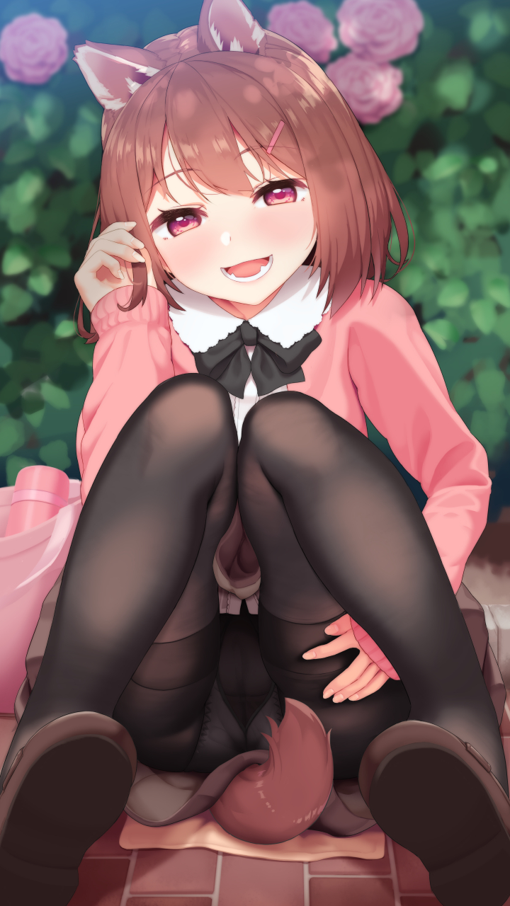 1girl :d animal_ears black_bow black_bowtie black_pantyhose bow bowtie brown_hair dog_ears dog_girl dog_tail highres jacket knees_together_feet_apart long_hair long_sleeves medium_hair open_clothes open_jacket open_mouth original panties panties_under_pantyhose pantyhose pink_eyes pink_jacket shirt shoes smile solo tachimi_(basue) tail underwear white_shirt