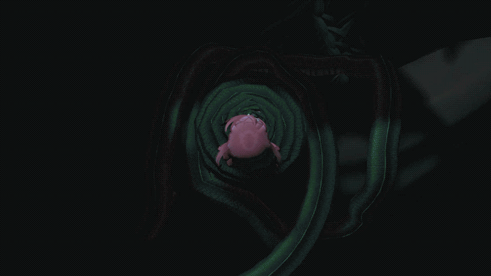1boy 1girl 20s 3d animated animated_gif blue_eyes bottomless bouncing_breasts bound bound_arms breasts coiled eh eye_contact green_eyes hypno_eyes hypnosis jiggle large_breasts leaf looking_at_another matching_hair/eyes mind_control monolith_soft multicolored_eyes navel night nintendo nipples open_mouth outdoors pink_hair pyra_(xenoblade) red_eyes red_hair reptile ringed_eyes short_hair sleeping smile snake solo_focus source_filmmaker_(medium) struggling surprised topless_female tree watching xeno_(series) xenoblade_chronicles_(series) xenoblade_chronicles_1 xenoblade_chronicles_2 yellow_eyes zzz