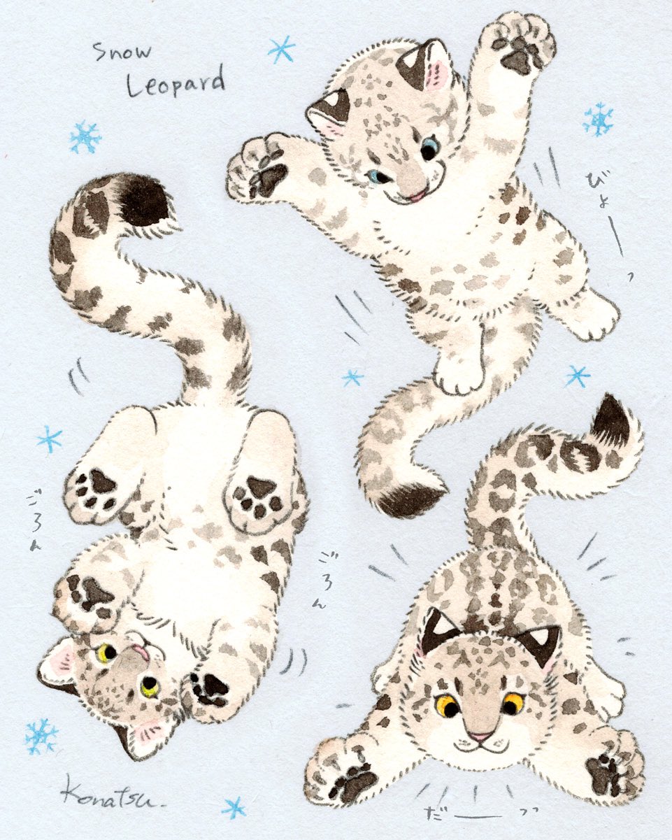 :3 animal animal_focus baby_animal blue_eyes commentary_request green_eyes highres jumping konatsu_tunacan no_humans original pawpads playing snow_leopard spotted_fur traditional_media yellow_eyes