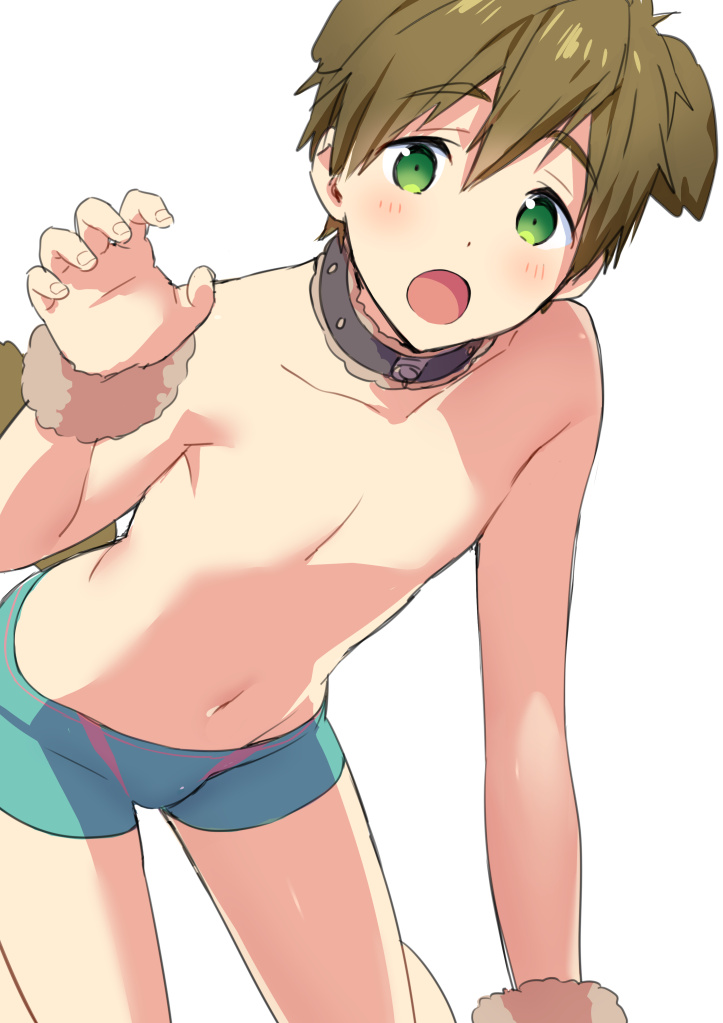 1boy :o all_fours animal_ears aqua_jammers aqua_male_swimwear black_collar blush brown_hair claw_pose collar dog_boy dog_ears dog_tail dot_nose extra_ears feet_out_of_frame free! green_eyes jammers looking_at_viewer male_focus male_swimwear mo_(nmnme) navel no_nipples open_mouth simple_background solo tachibana_makoto tail topless_male white_background wristband