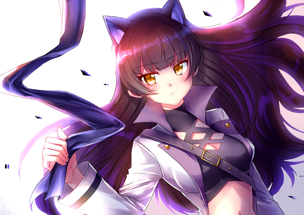 1girl animal_ear_fluff animal_ears black_hair blake_belladonna blunt_bangs breasts cat_ears cleavage closed_mouth coat crop_top female_focus floating_hair kaikai long_hair long_sleeves looking_at_viewer medium_breasts midriff navel open_clothes open_coat rwby simple_background solo stomach turtleneck upper_body very_long_hair white_background white_coat yellow_eyes
