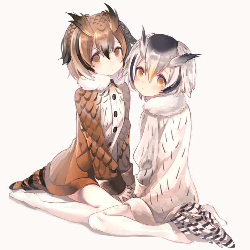 10s 2girls bad_id bad_pixiv_id bird_tail brown_coat brown_eyes brown_hair buttons coat dutch_angle eurasian_eagle_owl_(kemono_friends) full_body fur-trimmed_coat fur_trim hair_between_eyes head_wings kemono_friends long_sleeves looking_at_viewer multicolored_hair multiple_girls northern_white-faced_owl_(kemono_friends) oro_ponzu pantyhose silver_hair simple_background sitting tail wariza white_background white_coat white_legwear wings